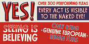 Flea Circus, a Sans Serif Font by One Eyed Squid (Thumbnail 2 of 6)