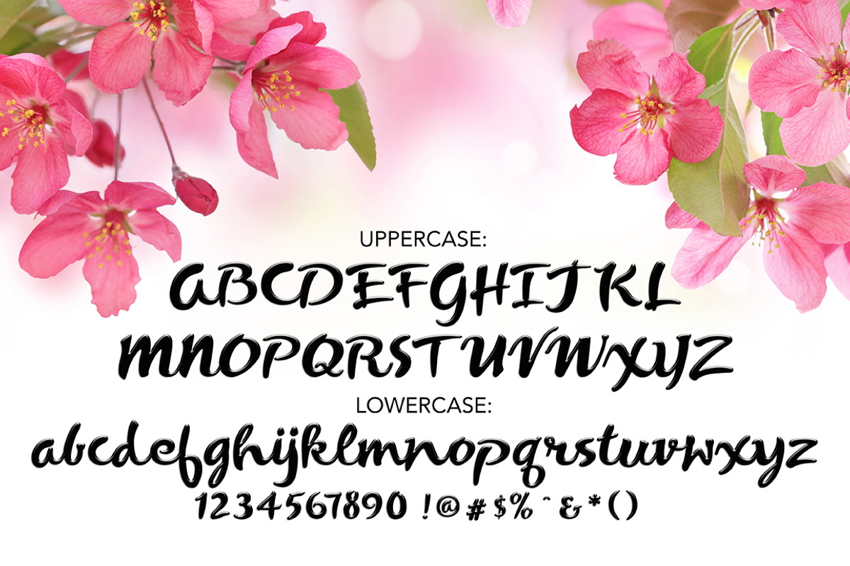 Coquette Script Font preview 7