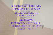 Reka Modern Display Font, a Serif Font by Storytype Studio (Thumbnail 13 of 15)