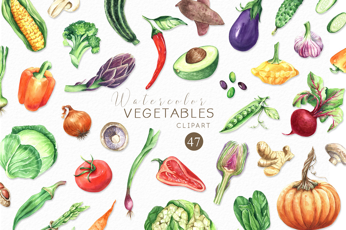 Watercolor VEGETABLES illustrations, a Decorative Illustration by GevelStudio (Photo 1 of 9)