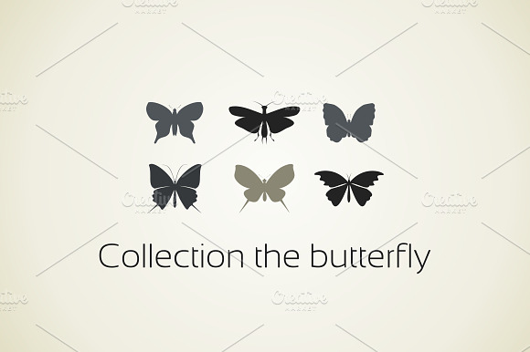 Collection The Butterfly
