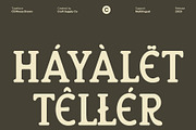 CS Rhesa Drawn, a Serif Font by Craft Supply Co. (Thumbnail 6 of 8)