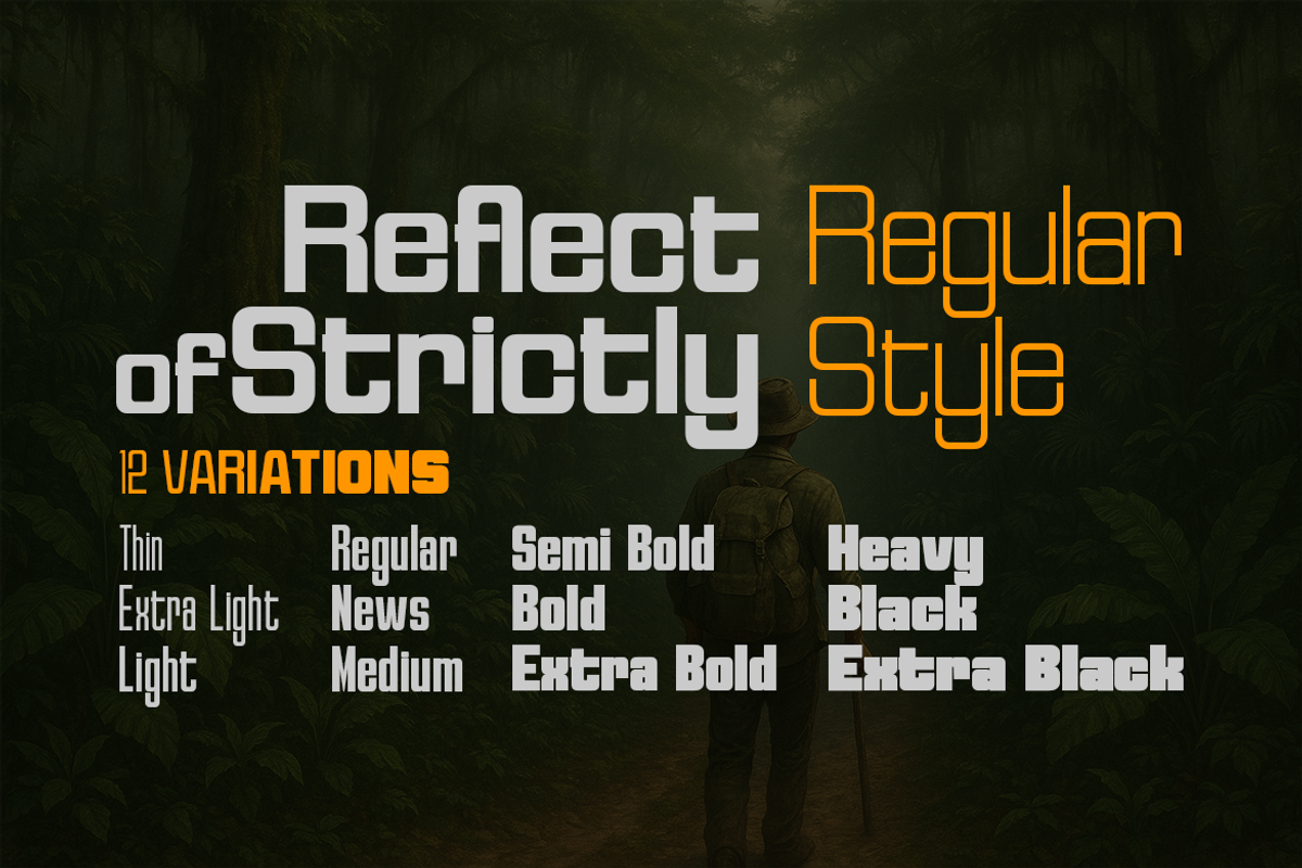 Reflect of Strictly Normal, a Sans Serif Font by groens (Photo 1 of 5)