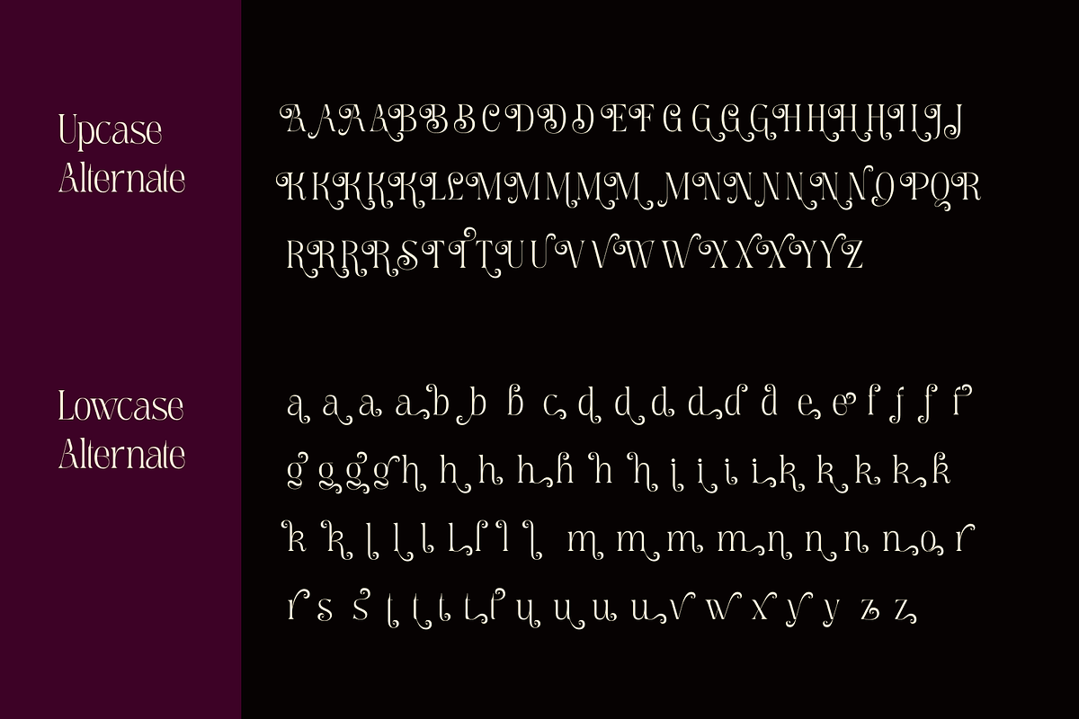 Meagre Display - 90s  Serif Family, a Serif Font by Holyline Design (Photo 13 of 15)