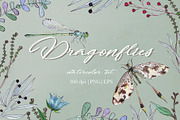 DRAGONFLIES. Watercolor clipart, an Illustration by digital_essence (Thumbnail 1 of 10)