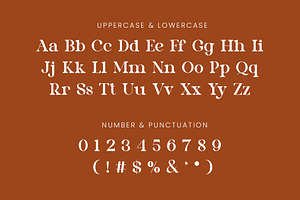 Rellion Serif Font