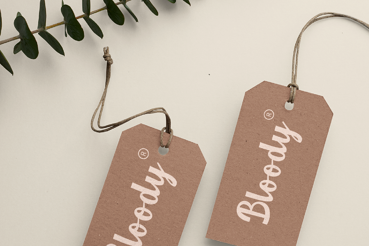 Delino - Retro Script, a Script Font by Hanstype.com (Photo 8 of 10)