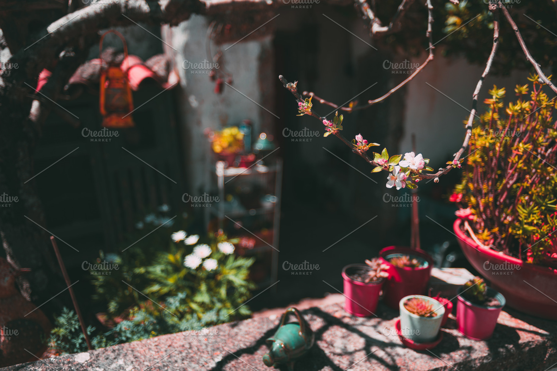 Blooming branch in a garden scene, an Architecture Photo by SkyNext