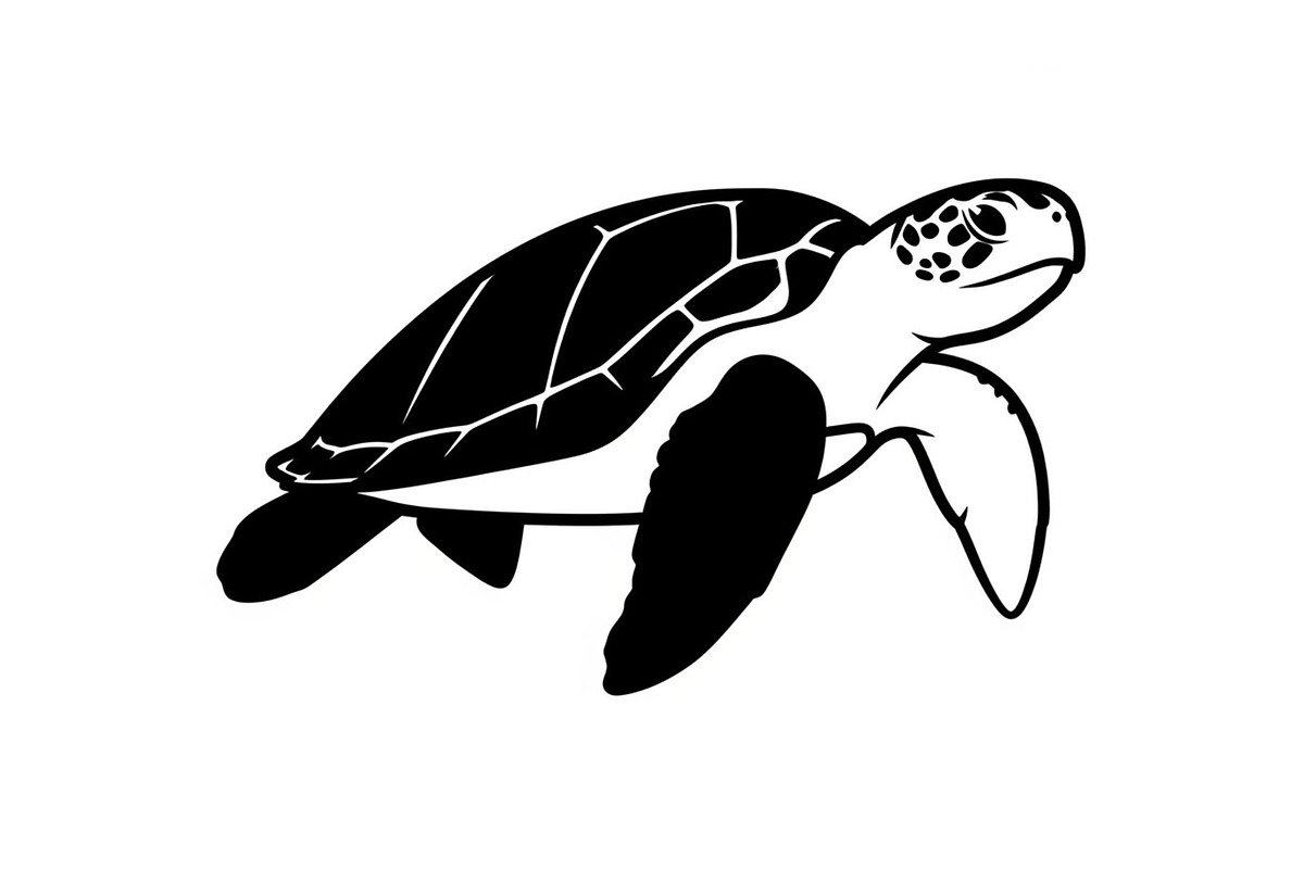 50 Sea Turtle Vector Silhouette Bund, an Illustration by jahid234 (Photo 7 of 51)