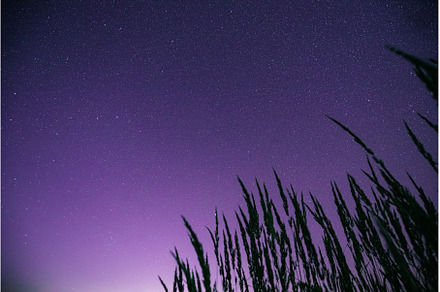 Bottom view of night starry sky from, a Nature Photo by Our Amazing World