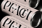Spanish Archer - Ligature-Rich Font, a Serif Font by SilverStag Type Foundry (Thumbnail 3 of 19)