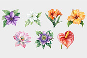 Watercolor Tropical Flowers Cipart, a Seasonal Illustration by Design Market (Thumbnail 5 of 5)