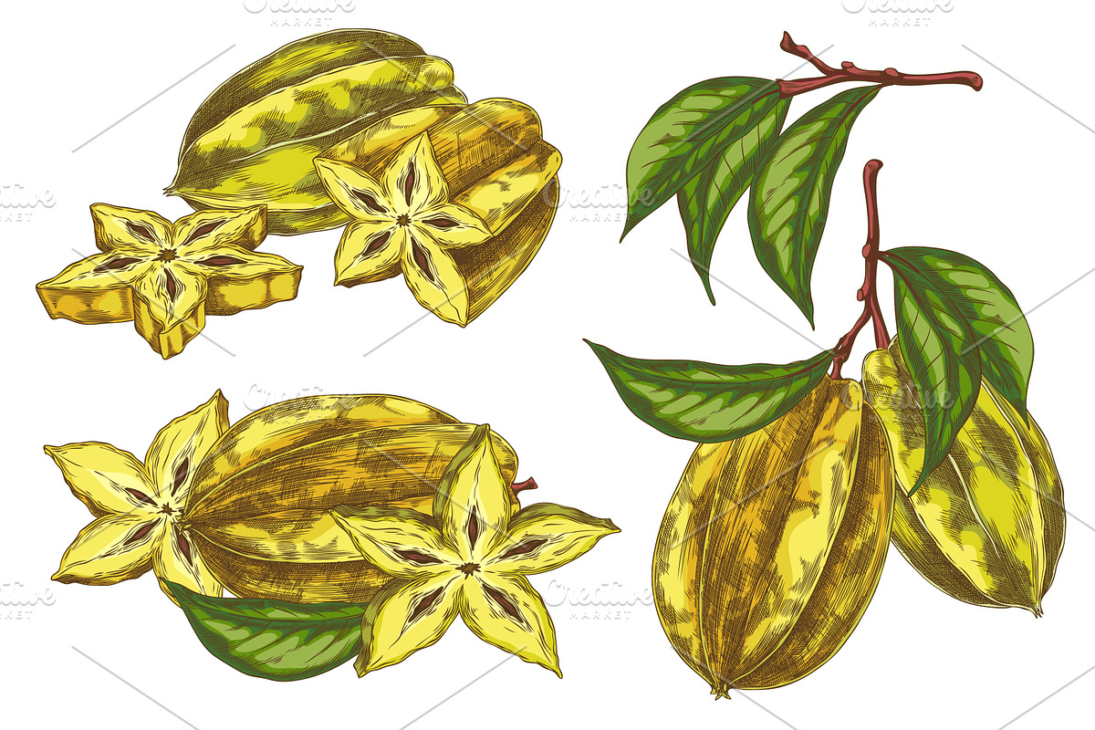 Hand drawn set of ripe yellow, a Food Illustration by Sabelskaya