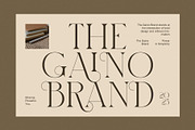 Rioka Stylish Serif Font, a Serif Font by Elegant Font (Thumbnail 2 of 8)