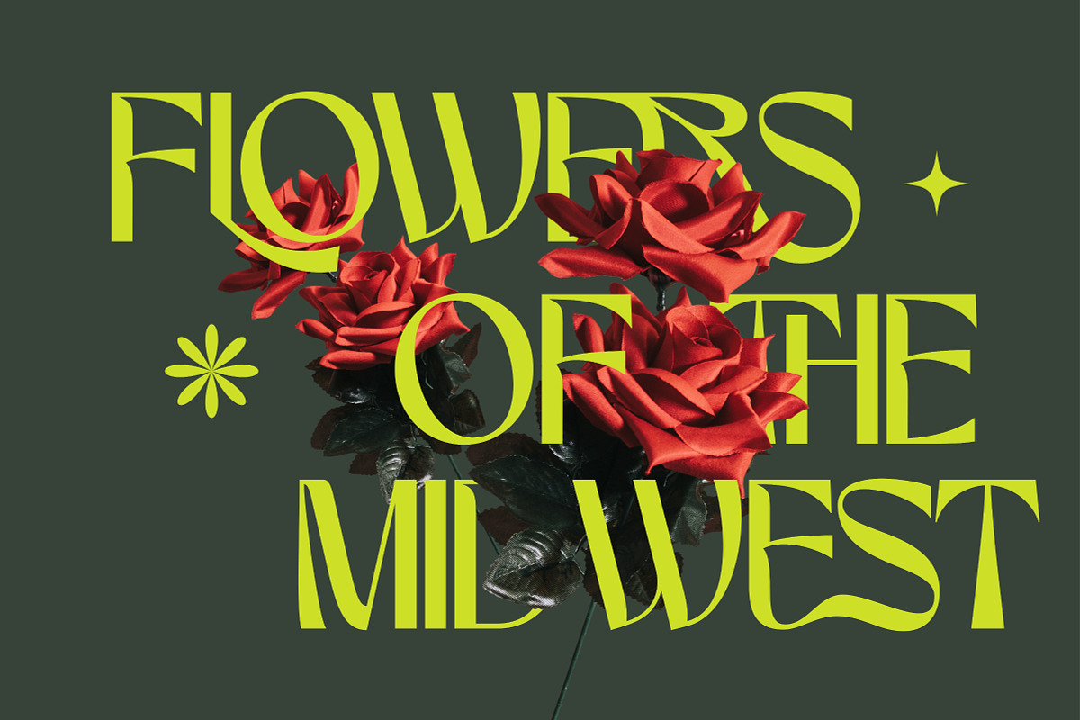 Marvio - Modern Display Typeface, a Font by Surplus Type Co (Photo 2 of 11)