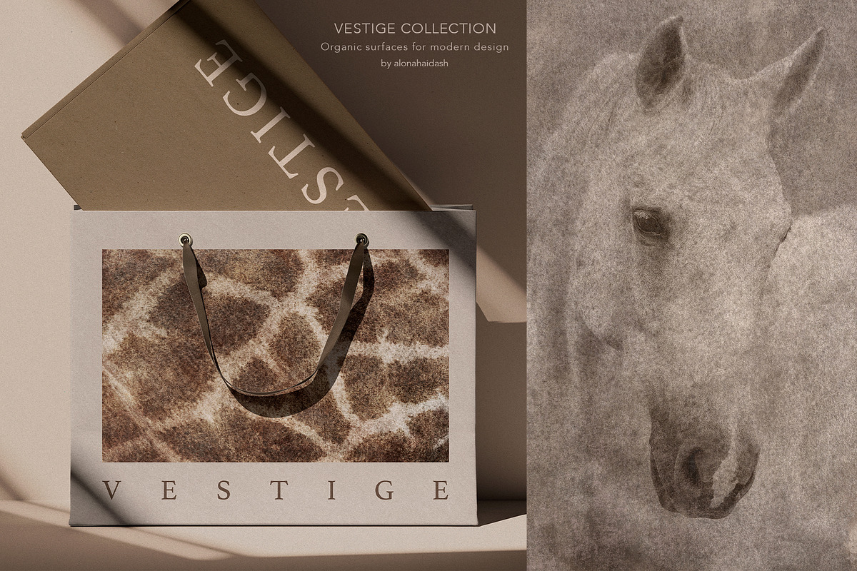 Vestige II · Organic Backgrounds, a Background Graphic by alonahaidash (Photo 6 of 16)