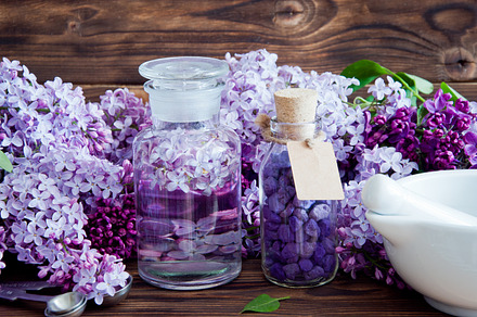 Fresh lilac flower petals containing aromatherapy, beautiful, and beauty