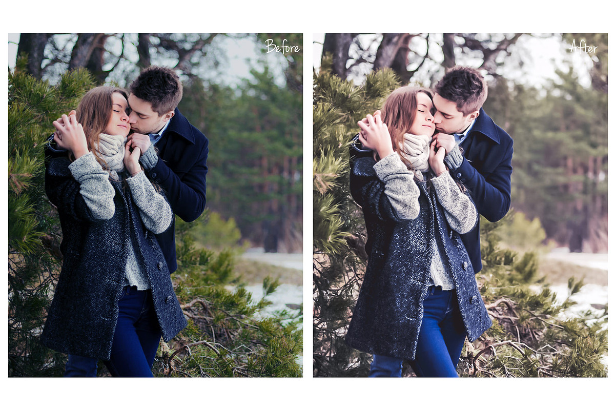 Winter Lightroom Presets preview 6