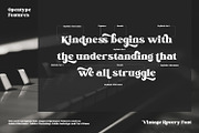 Vintage Rovery, a Serif Font by Vintage Division (Thumbnail 8 of 10)