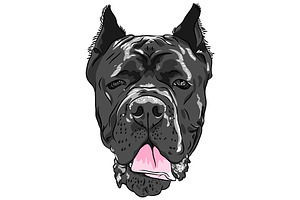 Dog Black Cane Corso SET