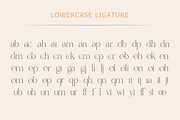 Bechilo – Modern Serif Font, a Serif Font by Yahya Type (Thumbnail 23 of 25)