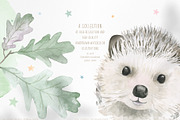 watercolor forest animal portraits, an Animal Illustration by beehouse studio (Thumbnail 10 of 11)