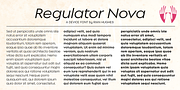 Regulator Nova, a Sans Serif Font by Device (Thumbnail 2 of 9)
