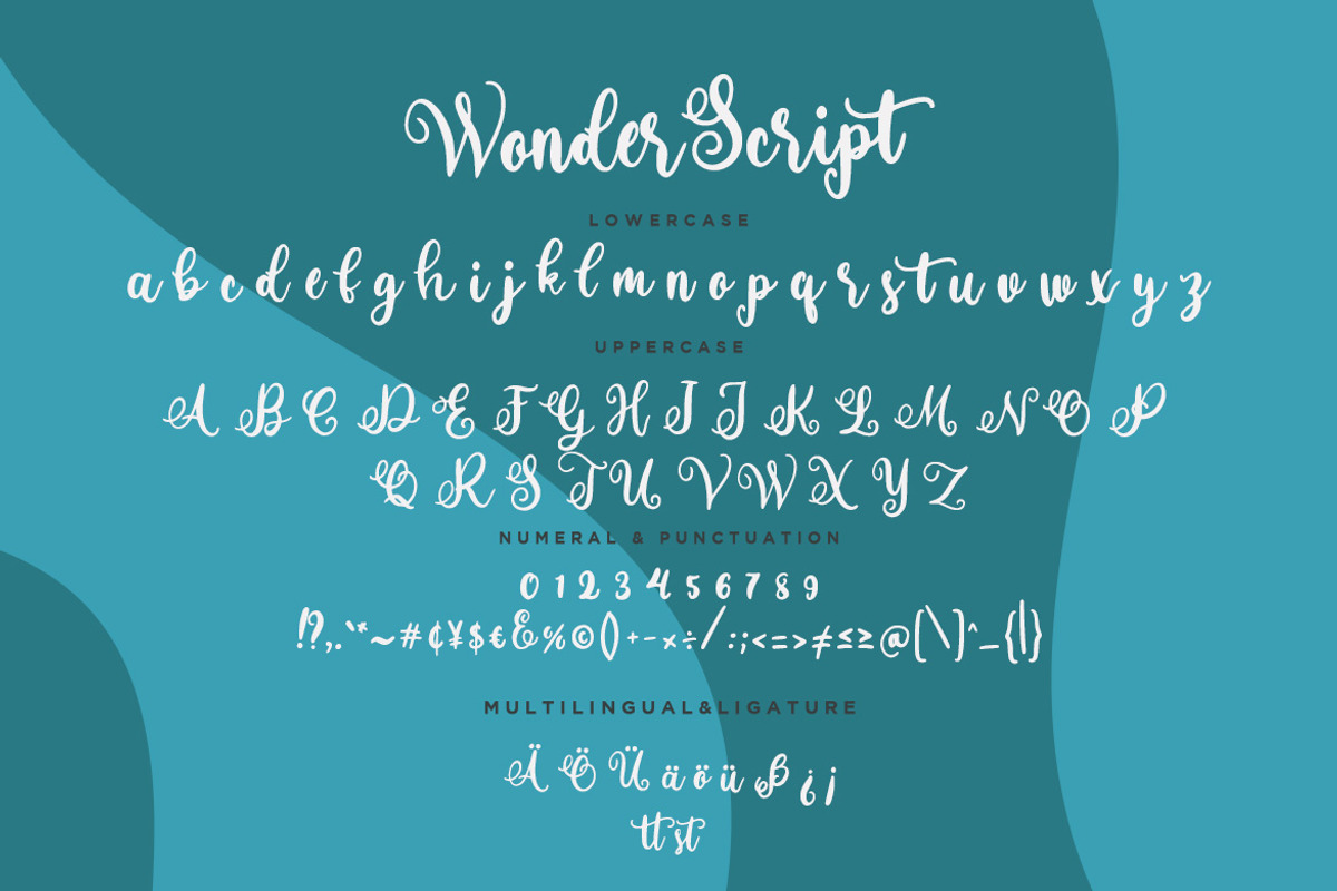 Wonder Script Fun Business Font preview 7