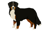 Dog breeds Bernese Mountain Dog, an Animal Illustration by Nenilkime (Thumbnail 2 of 3)