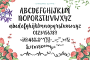 Ink Blossoms Brush Script, a Handwritten Font by Emily Spadoni (Thumbnail 2 of 7)