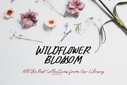 Twisted Author Natural Handwriting, a Handwritten Font by Letterhend Studio (Thumbnail 6 of 9)