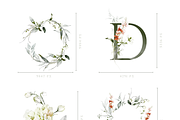 Bronte | Botanical set | 280+ images, an Illustration by Karma (Thumbnail 31 of 39)