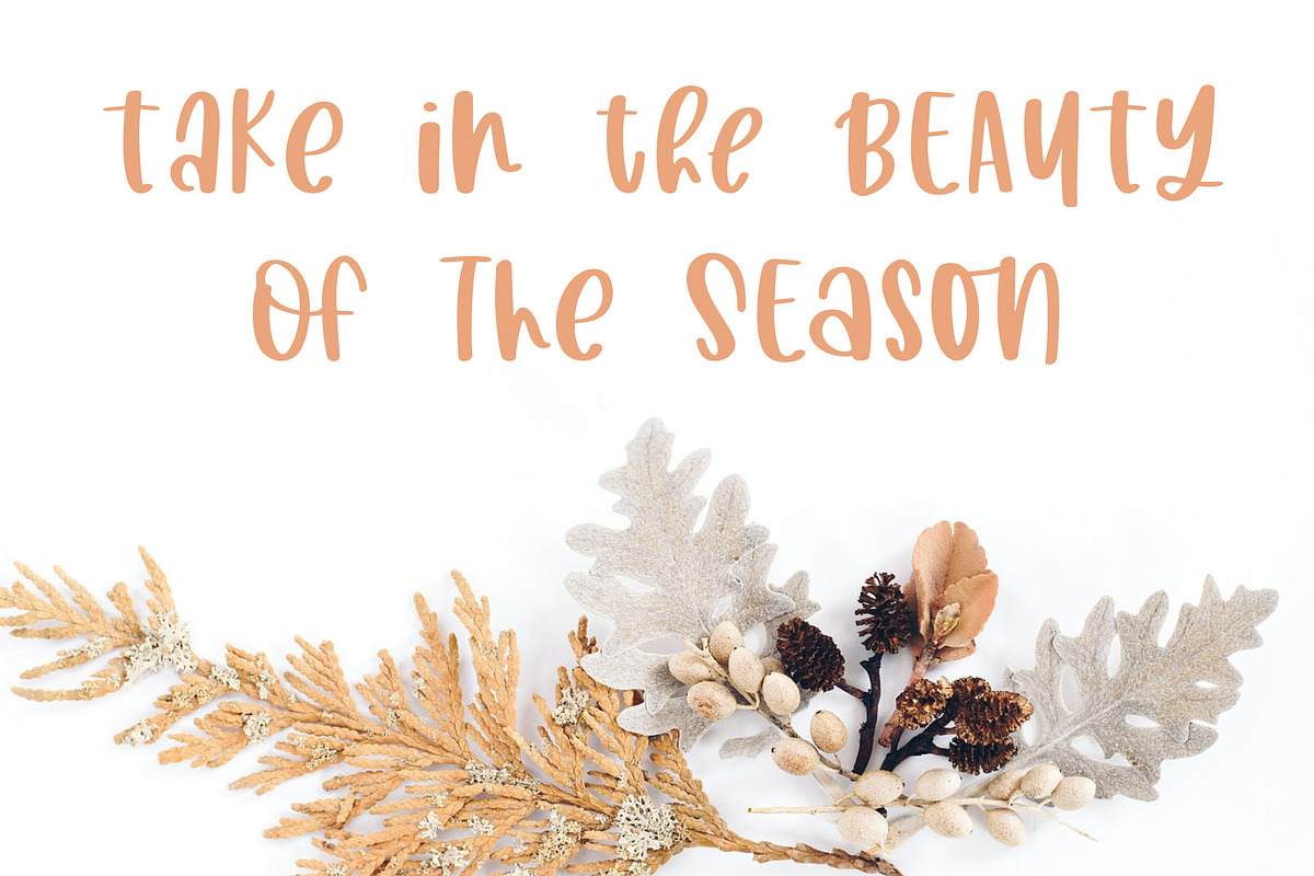 Harvest Wishes Cozy Marker Font preview 2