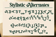 Milky Shake - Retro Serif Font, a Serif Font by Say Studio (Thumbnail 14 of 14)