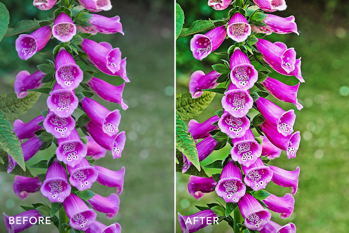HDR PRO Photoshop Actions, an Action Add-On by FilterGrade (Photo 3 of 8)