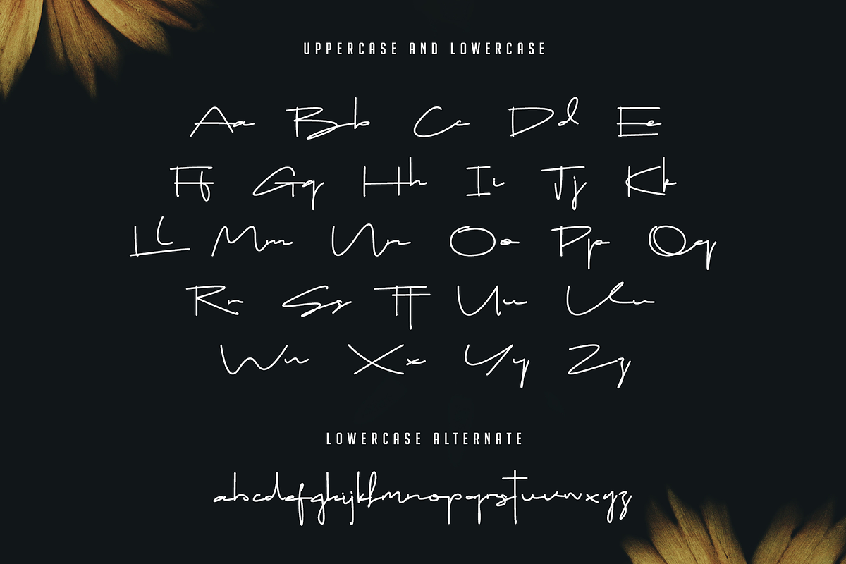 Drop Stay Signature, a Script Font by Dierstudio (Photo 12 of 13)