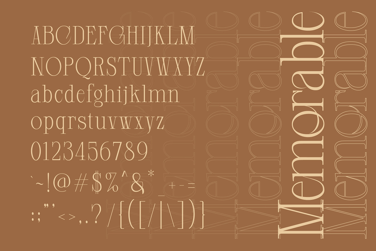 Closed Memory Nostalgic Editorial, a Serif Font by Lettertype Studio (Photo 6 of 16)