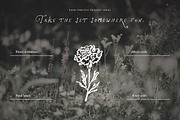 Spring Floral Doodle Line Art Bundle, an Object Illustration by The October Creative (Thumbnail 11 of 13)