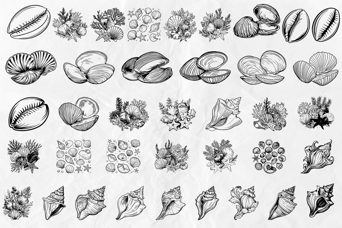 Seashell SVG Bundle, an Object Graphic by Dervik Art Store (Photo 2 of 5)