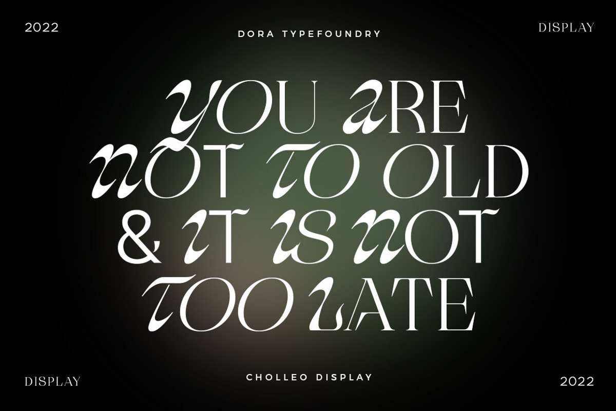 Cholleo Display, a Serif Font by Dora Typefoundry (Photo 15 of 18)