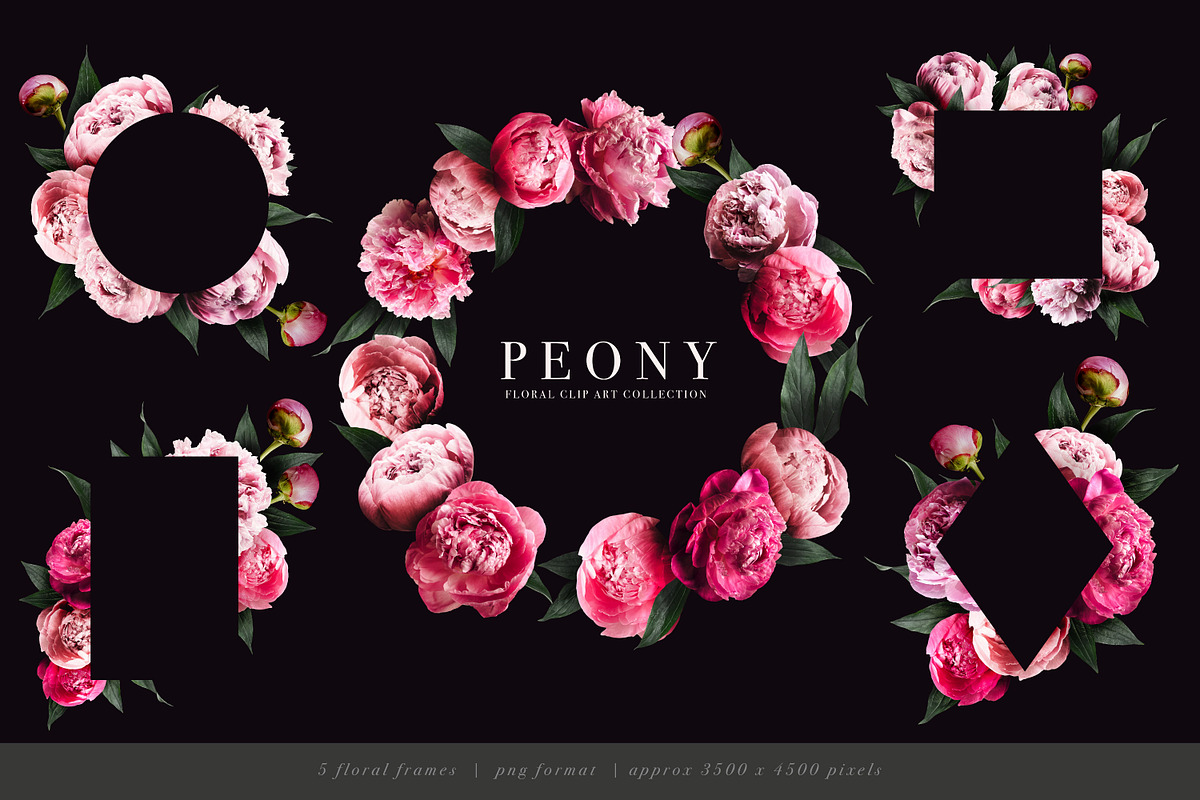 Peony Floral Clip Art, an Object Graphic by Eclectic Anthology (Photo 15 of 17)