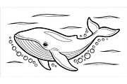 Whale Line Art Vector Bundle, an Illustration by yasushie (Thumbnail 30 of 51)