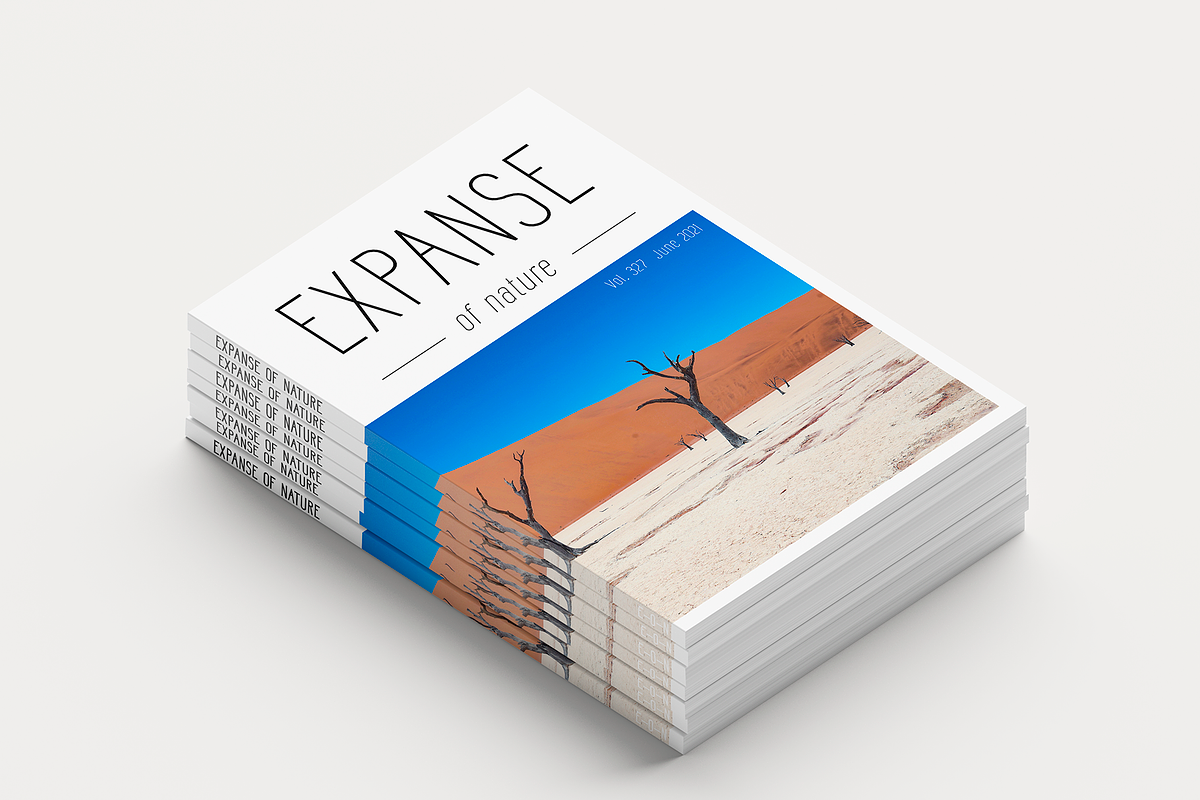 Senar, a Sans Serif Font by Larin Type Co. (Photo 5 of 10)