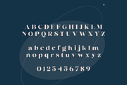 Anire Serif Font, a Serif Font by Creative Foundry (Thumbnail 7 of 9)