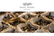 Logo Pack Volume 10. Garden, a Branding & Logo Template by Mint Air Studio (Thumbnail 9 of 21)
