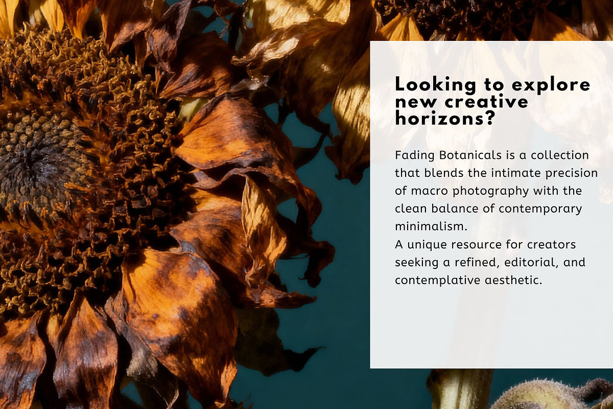 Botanical Fine Art Macro Collection, a Nature Photo by Virgo Studio (Photo 2 of 6)
