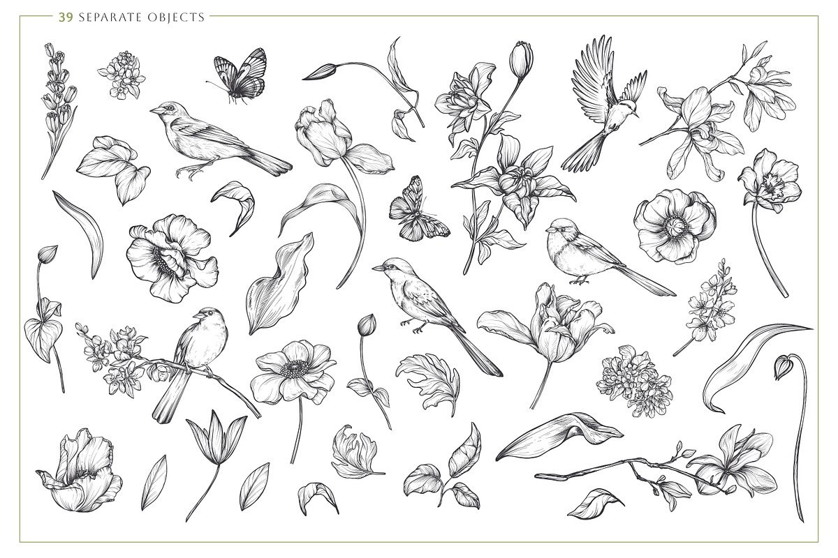 Birds in the Spring Garden, an Object Graphic by Molly art (Photo 2 of 11)