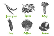 Set of 42 healthy food objects, a Decorative Illustration by Akimo Mia (Thumbnail 5 of 9)