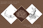 Floral botanical hand-drawn graphics, a Graphic by Personal Epiphany (Thumbnail 3 of 5)