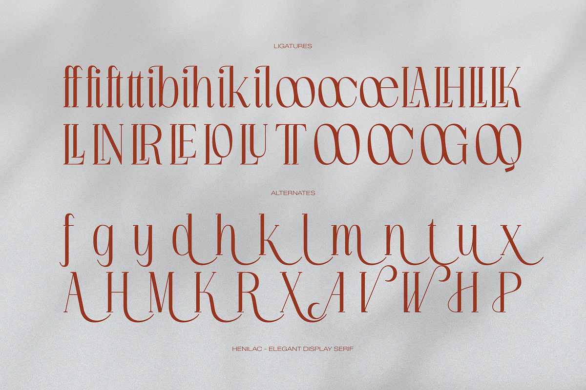 Henilac | Elegant Display Font, a Serif Font by gracetype_studio (Photo 12 of 12)